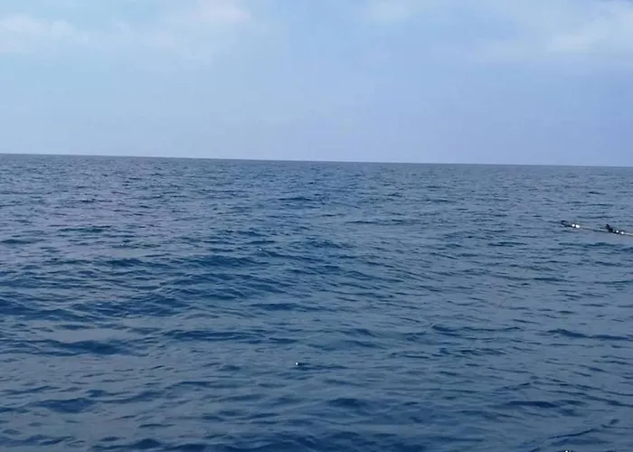 Food Service 酒店 维博瓦伦蒂亚