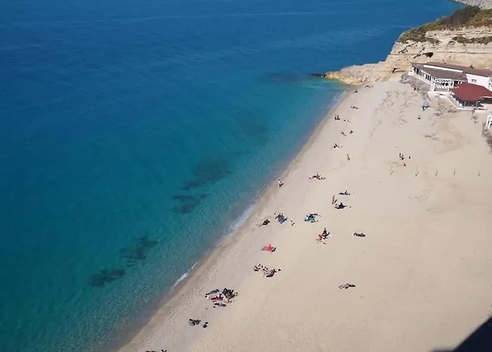 Food Service 酒店 维博瓦伦蒂亚