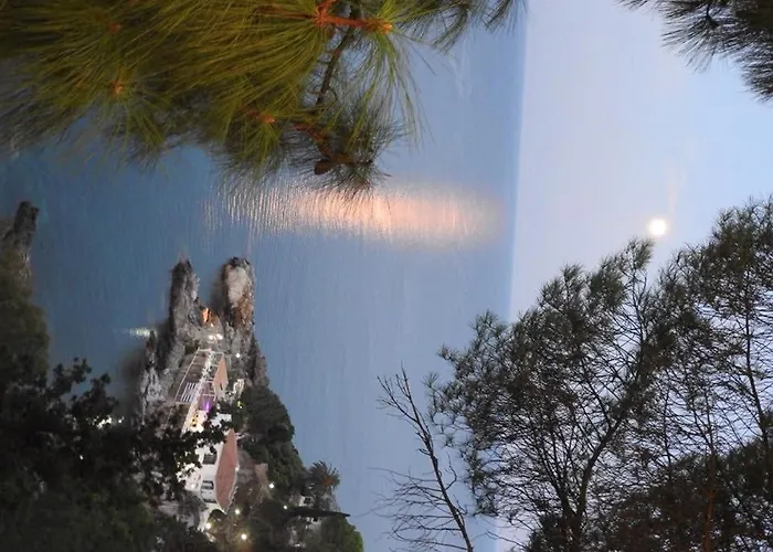 Food Service * 维博瓦伦蒂亚